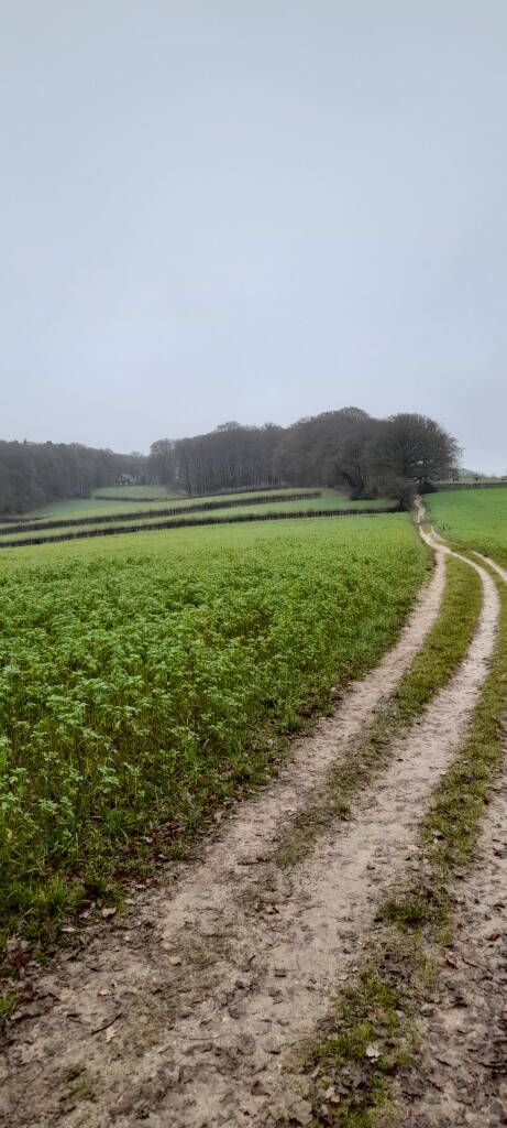 Nijmegen, Traianusplein - Duivelsberg, Berg en Dal · Romeinse Limespad etappe 17