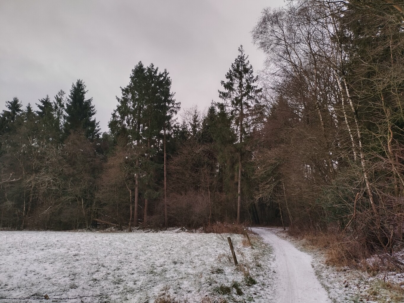 Anserdennen - Ruinen · De Ster van Dwingeloo etappe 5