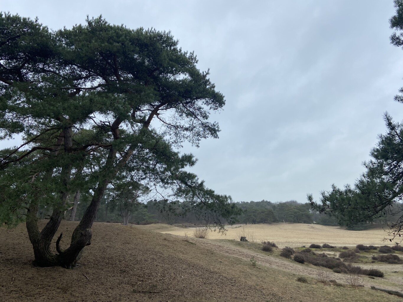 Utrecht - Amersfoort · Gelukkigerwijspad etappe 6