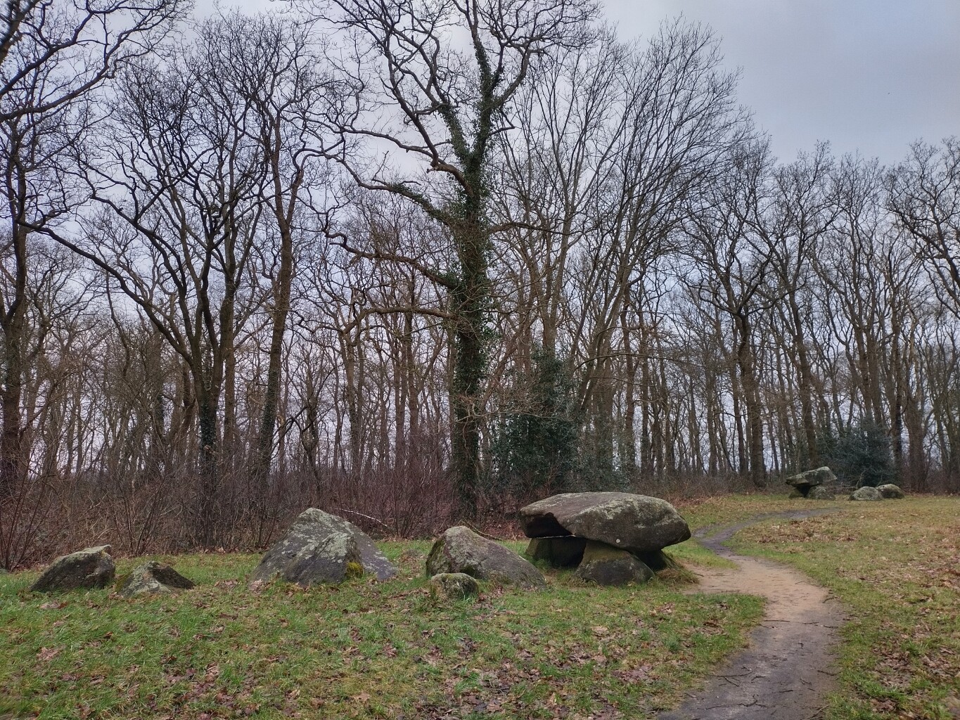 Gasselte · Klaverblad Borger etappe 3