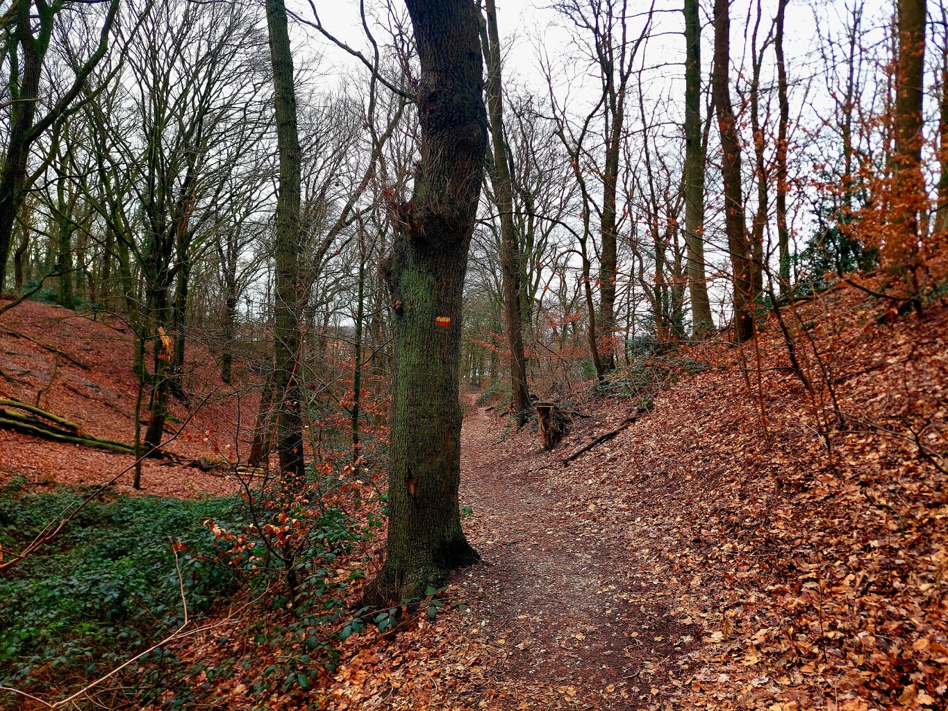 Venlo - Plankenheide · Maas-Niederrheinpad etappe 22