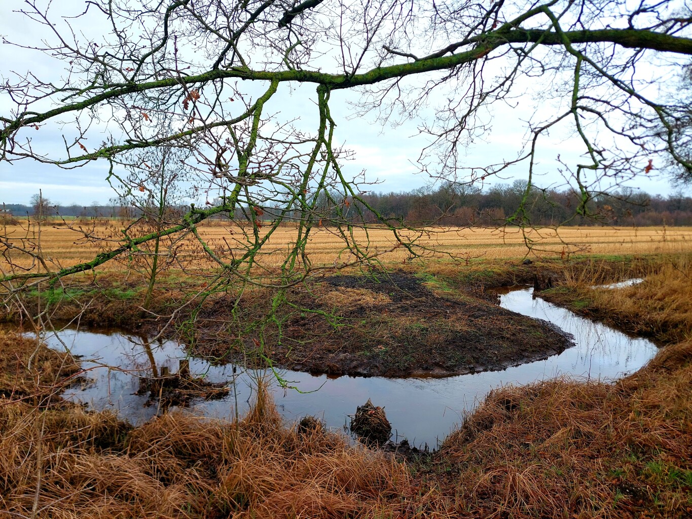 Wachtendonk - Leuth · Maas-Niederrheinpad etappe 11