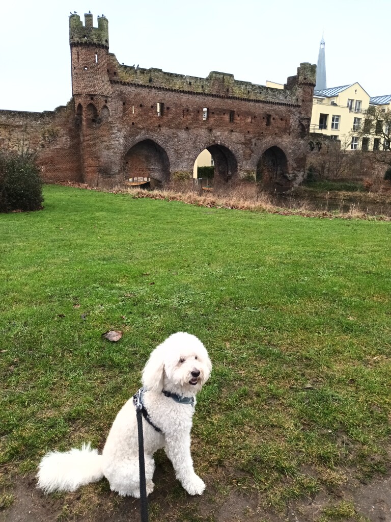 Zutphen, St. Walburgskerk - Laren · Graafschapspad etappe 1