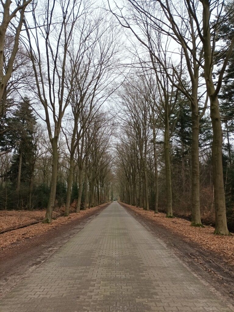 Laren - Borculo (busstation) · Graafschapspad etappe 2