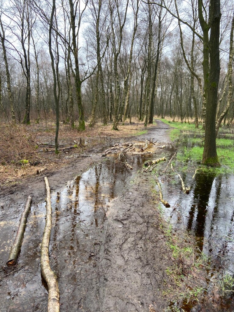 Haaksbergen, Buurserstraat - Zwillbrock · Noaberpad etappe 15