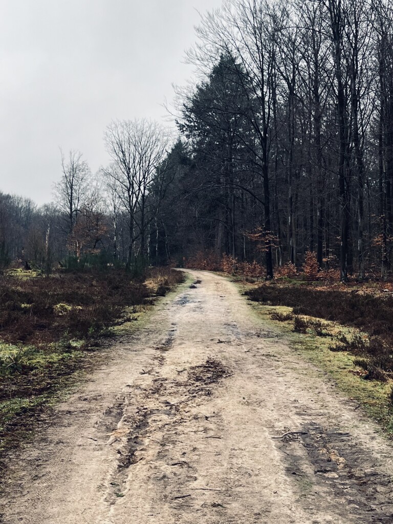 Grolloo · Klaverblad Borger etappe 2