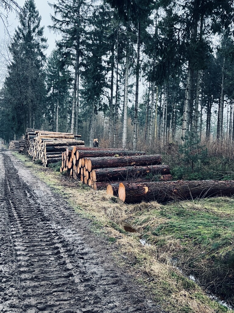 Grolloo · Klaverblad Borger etappe 2