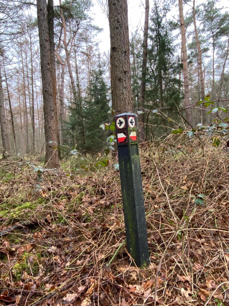 Zwillbrock - Saalman (pension) · Noaberpad etappe 16