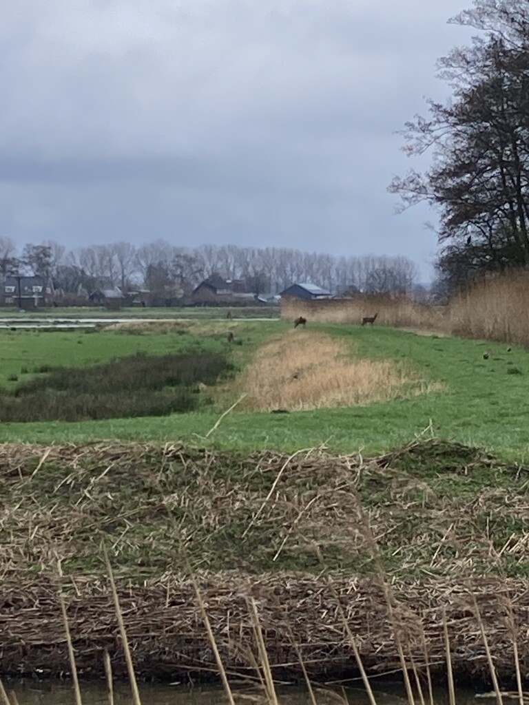 Grebbeberg - Benedeneind · Grebbeliniepad etappe 3