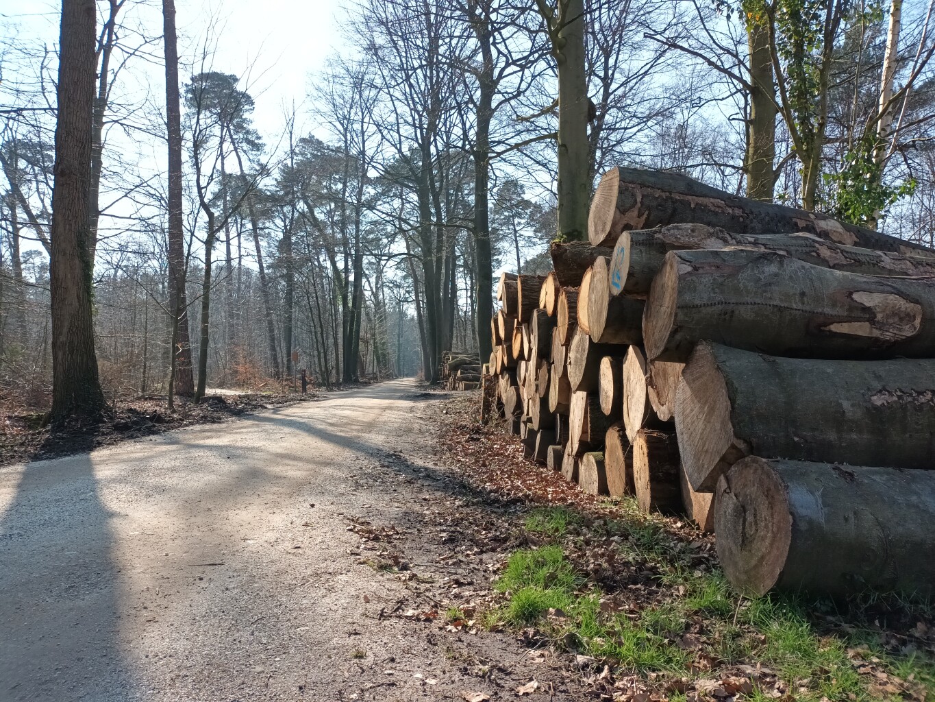 Mariënvelde - Doetinchem station · Graafschapspad etappe 4