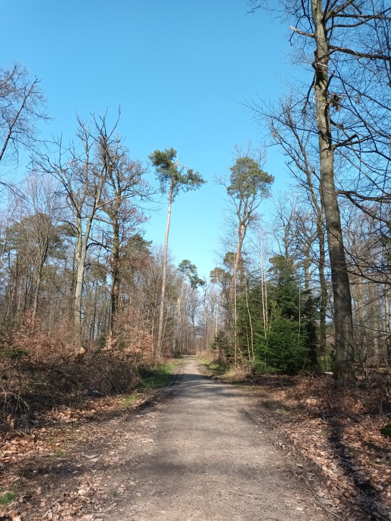 Mariënvelde - Doetinchem station · Graafschapspad etappe 4