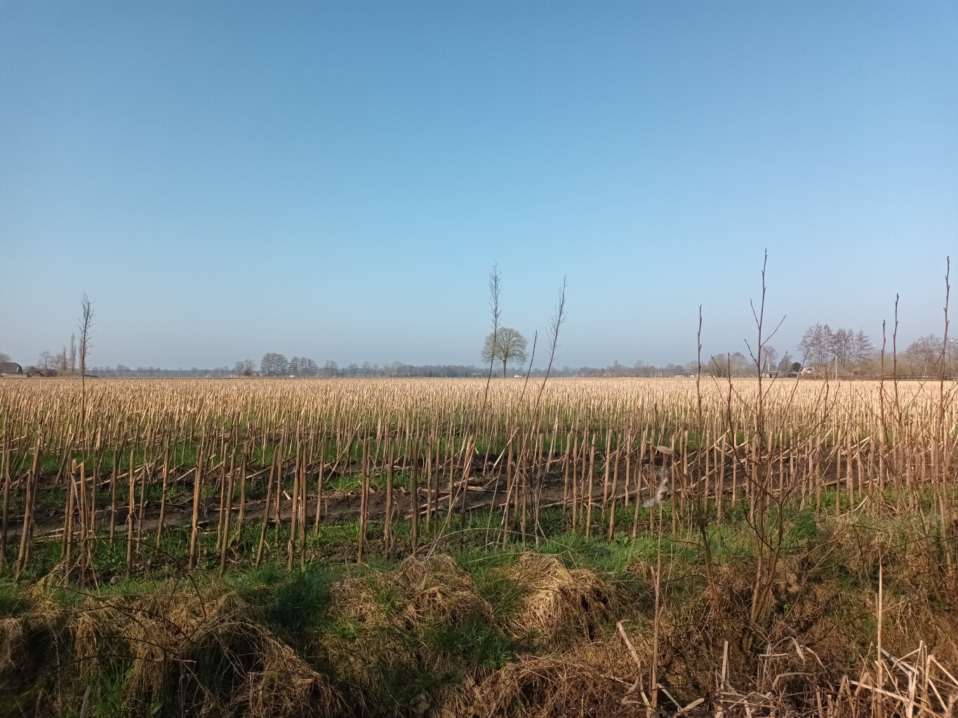 Mariënvelde - Doetinchem station · Graafschapspad etappe 4