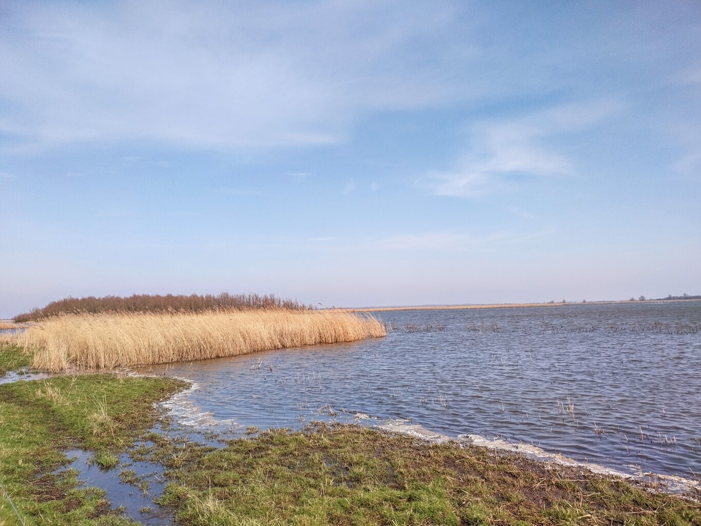 Lauwersoog - Iezumasyl · Friese Woudenpad etappe 1