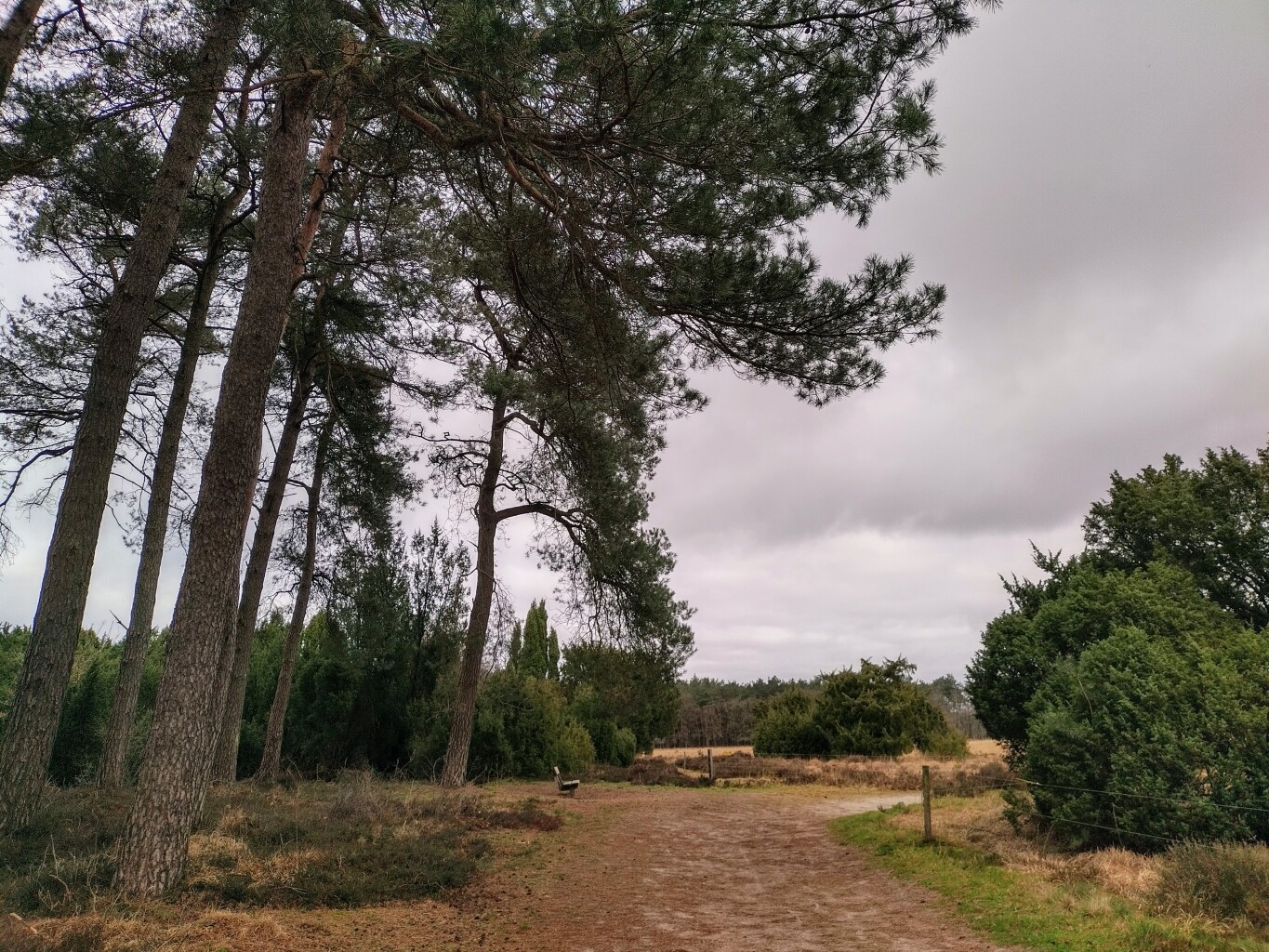 Spier - Dwingelderveld · De Ster van Dwingeloo etappe 4