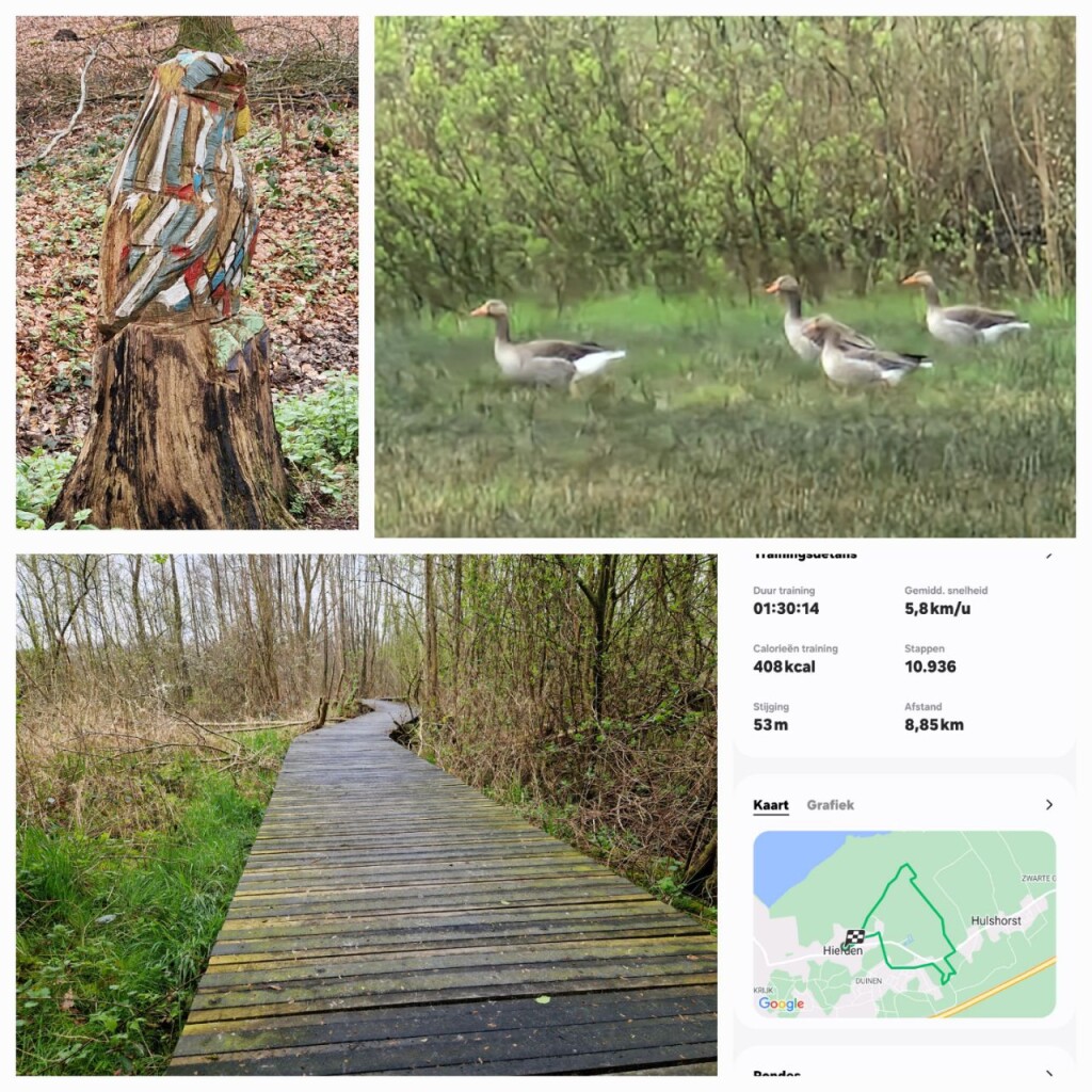 Wandeling Veluwemeerkust-Hulshorst