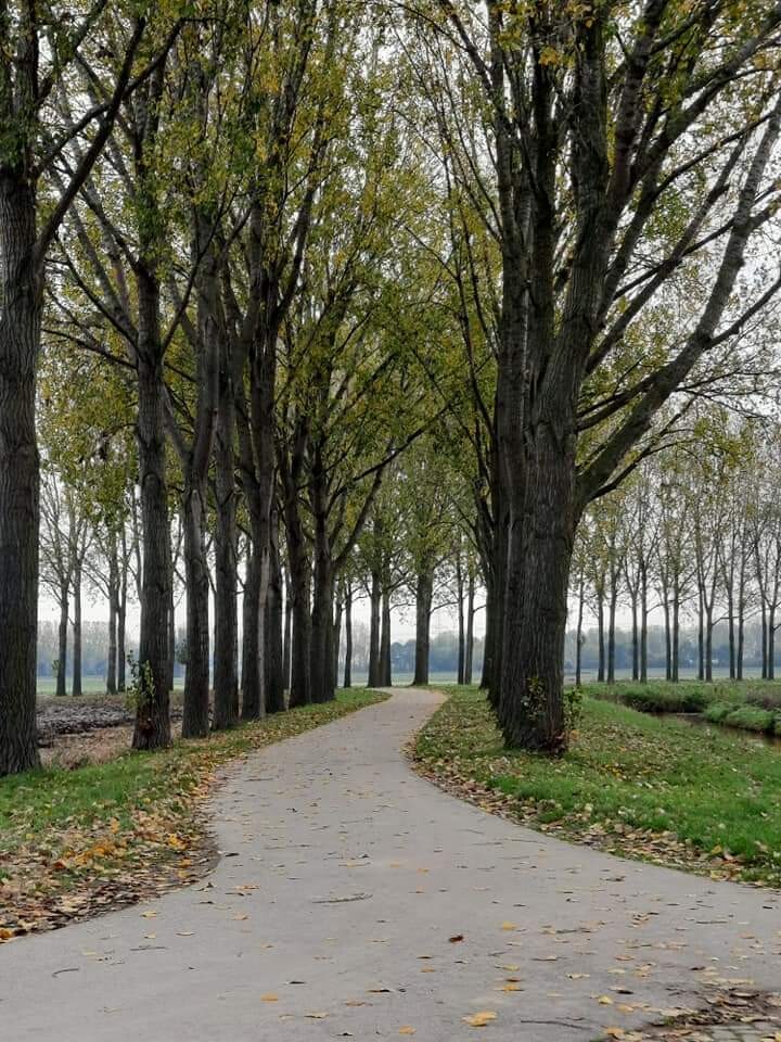 Oosterhout - Via Geertuidenberg - Raamsdonk · Zuiderwaterliniepad etappe 7