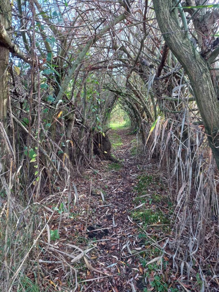 Raamsdonk - Drunen · Zuiderwaterliniepad etappe 8