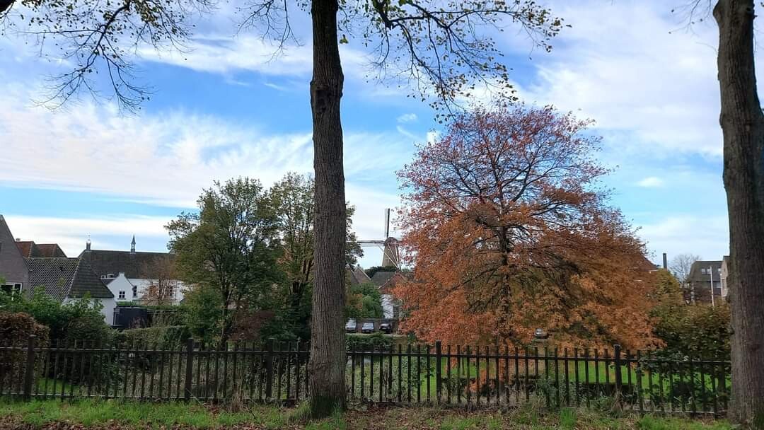 Megen - Reek · Zuiderwaterliniepad etappe 12