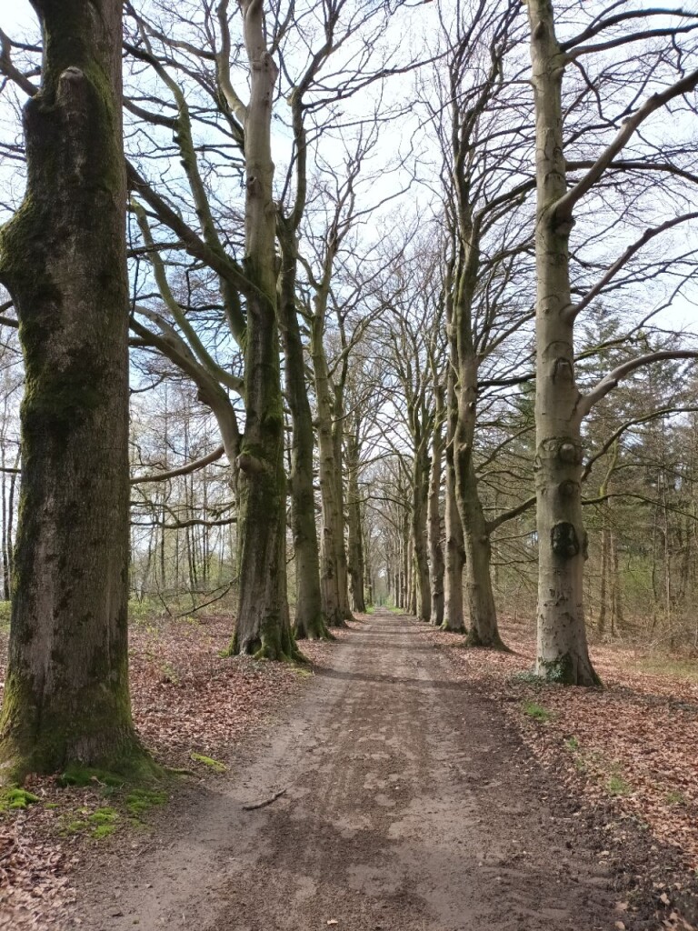 Doetinchem station - Doesburg · Graafschapspad etappe 5
