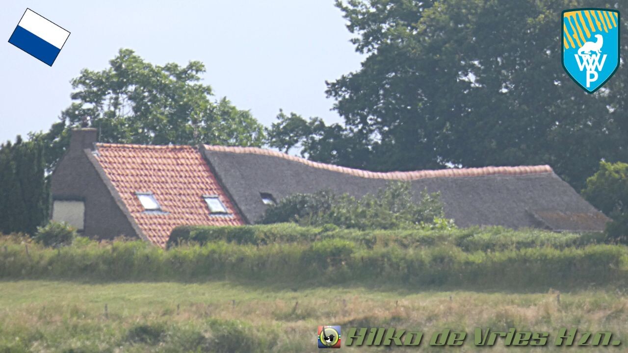 Vollenhove - Muggenbeet · Weerribben wiedenpad etappe 4