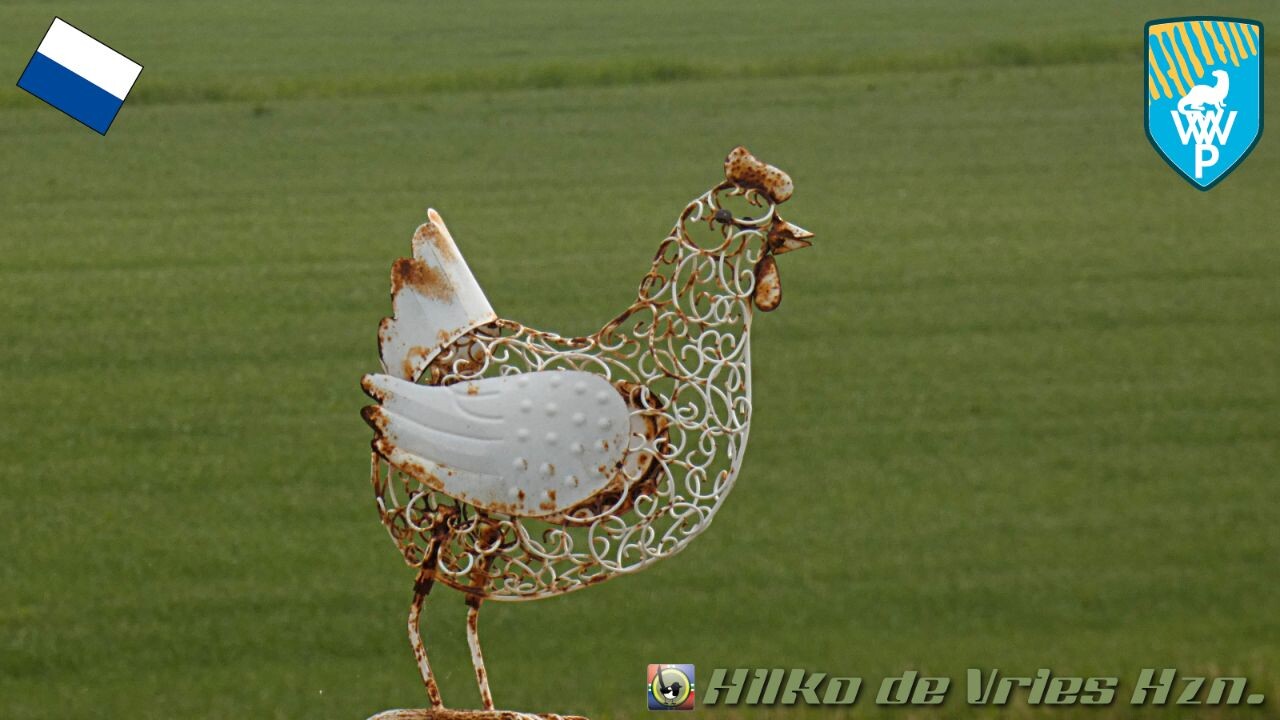 Muggenbeet - Watermolentjes · Weerribben wiedenpad etappe 5