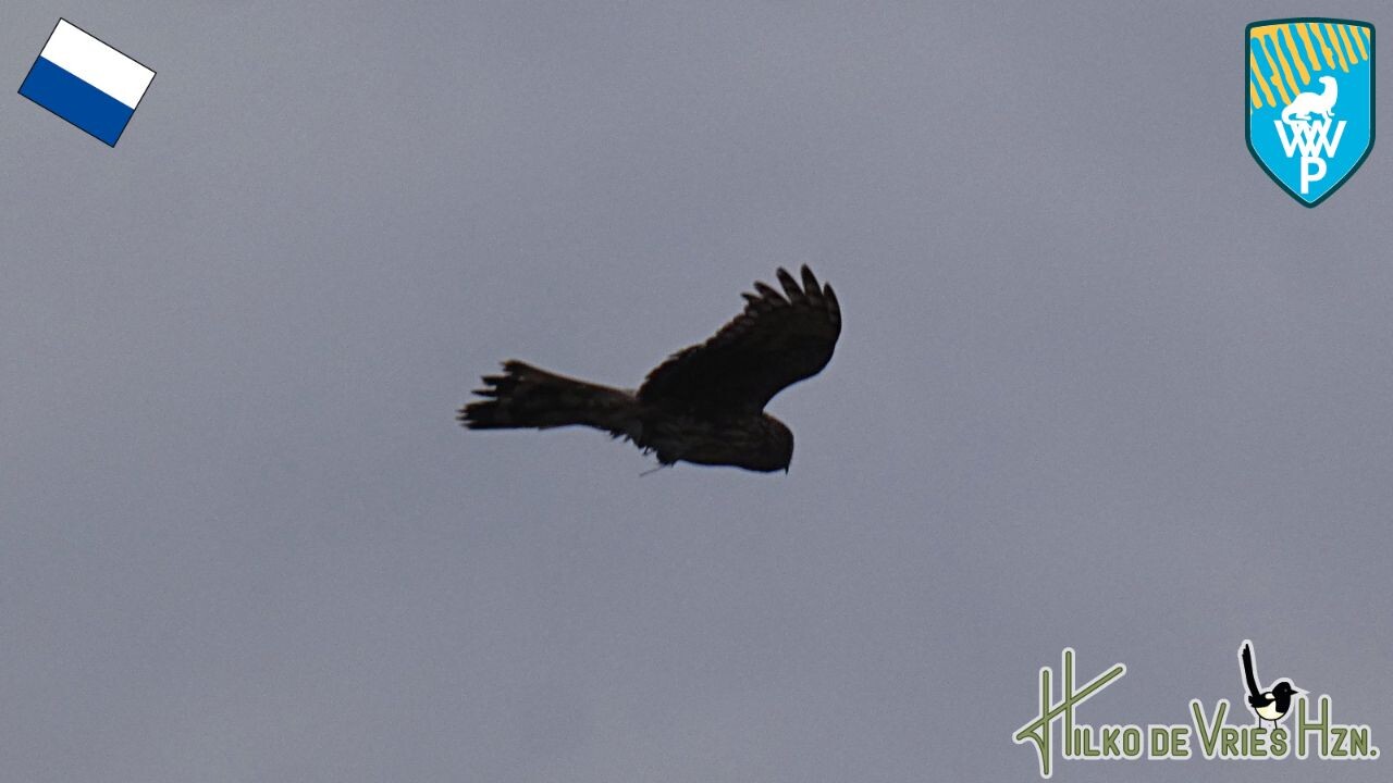 Ossenzijl - Woldlakebos · Weerribben wiedenpad etappe 6