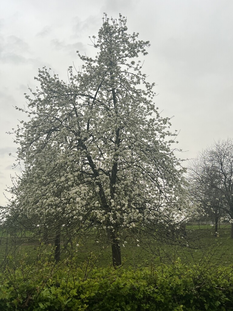 Voerendaal - Klimmen Ransdaal · Heuvellandpad etappe 2
