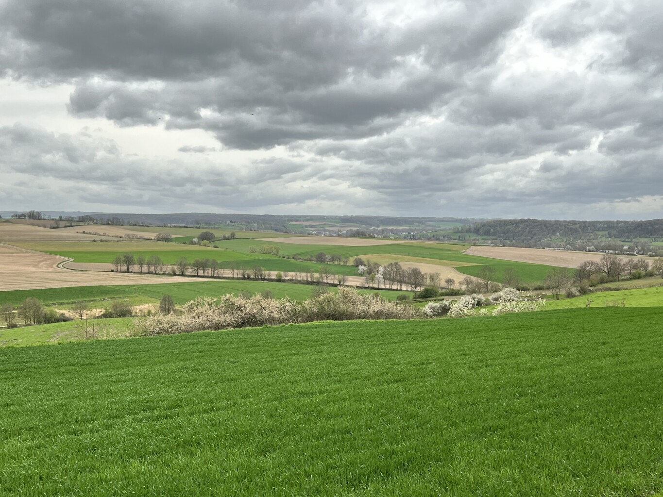 Voerendaal - Klimmen Ransdaal · Heuvellandpad etappe 2