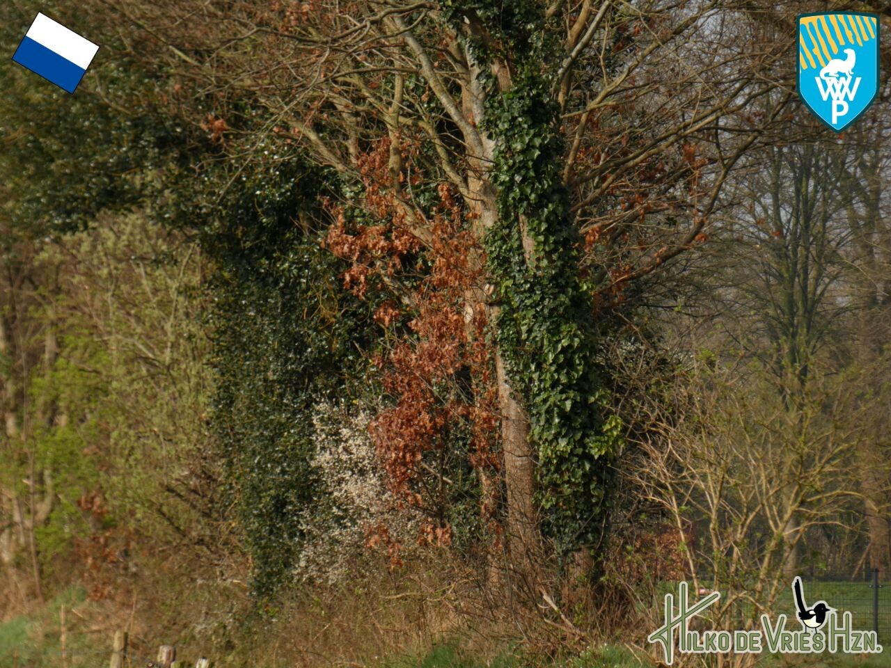 Oldemarkt - Paasloo · Weerribben wiedenpad etappe 7