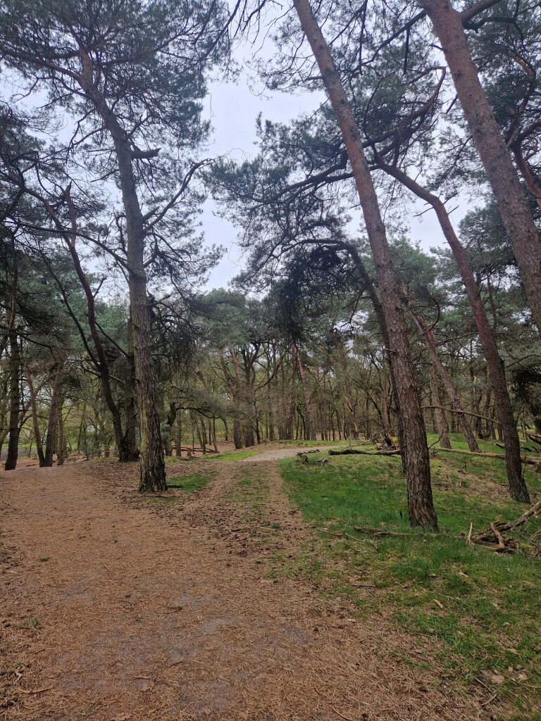 Boswachterspad Bos en Heide