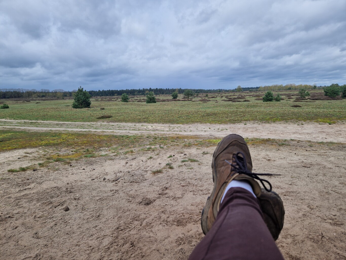 Boswachterspad Bos en Heide