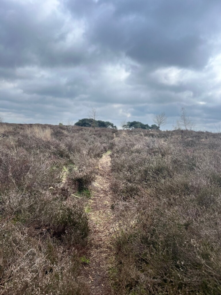 Gasteren Storytrails