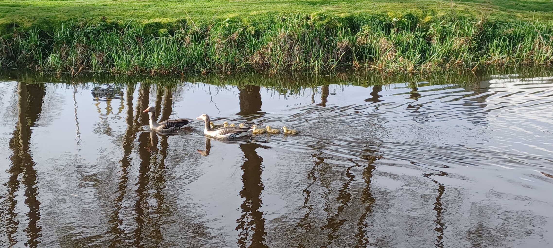 Aarlanderveen - Reeuwijk · Pelgrimspad etappe 4
