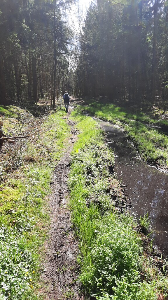 Houtigehage - Ureterp · Friese Woudenpad etappe 6