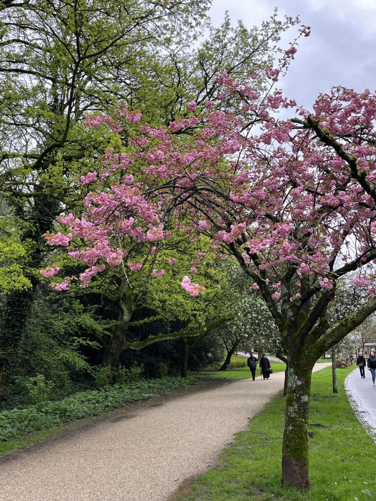 Amsterdam Centraal Station - Amsterdamse Bos · Pelgrimspad etappe 1
