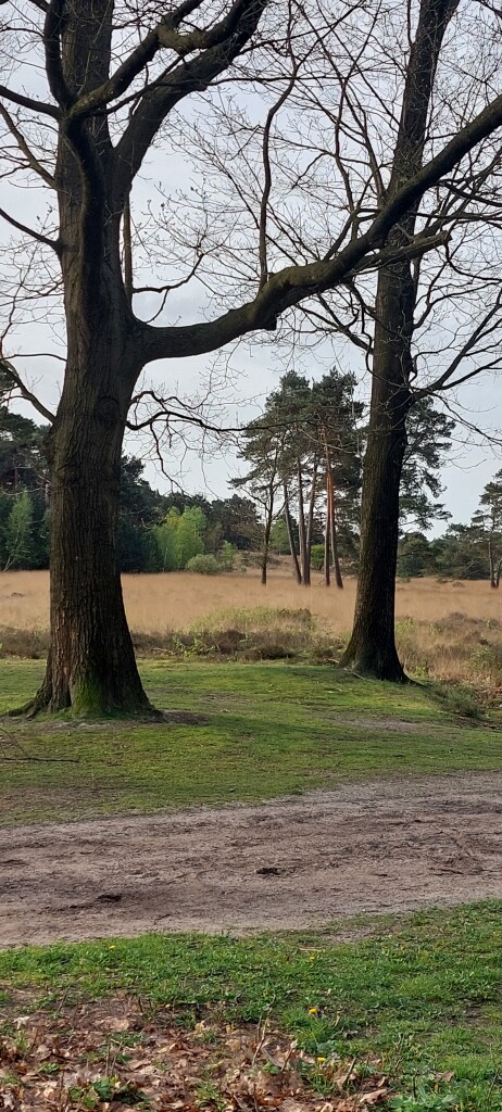 Renswoude - Woudenberg · Utrechtpad etappe 6