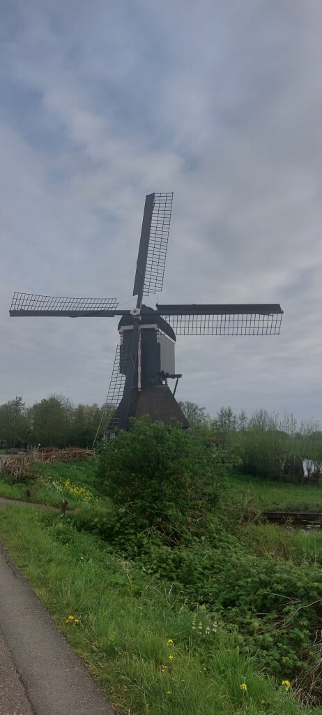 Tussen Luistenboel en Zouweboezem