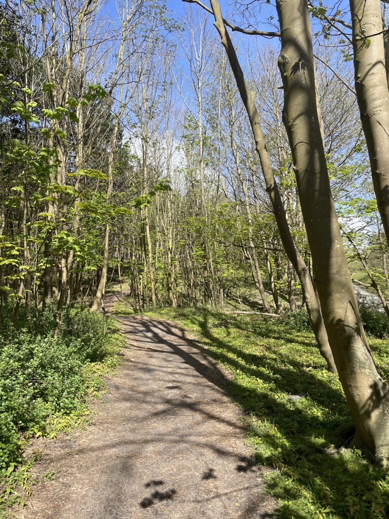 Westenschouwen naar Ellemeet- "?" · NederRandpad etappe 59