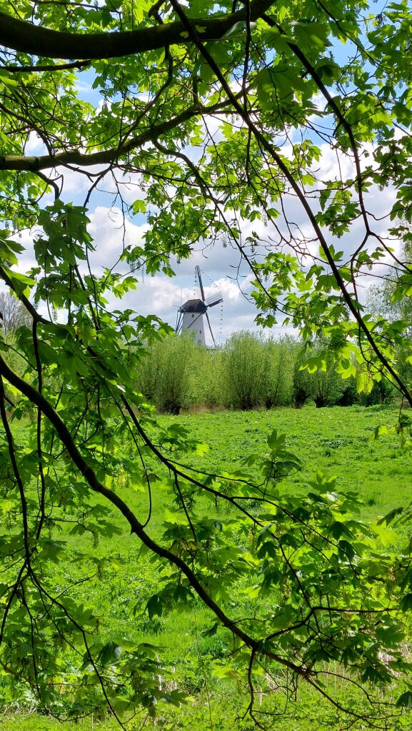 Station Geldermalsen - Station Beesd · Betuwepad etappe 3