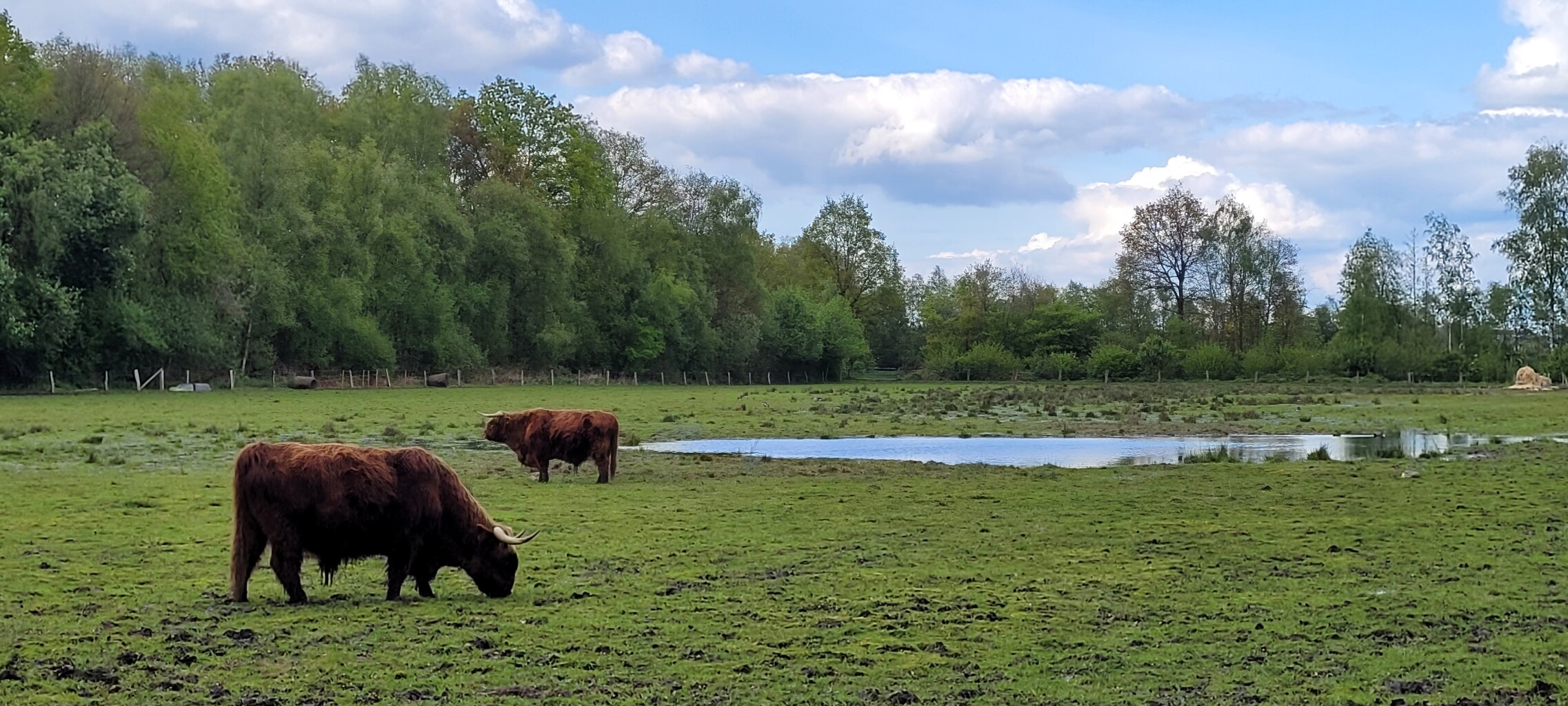 Zwillbrocker Vennroute