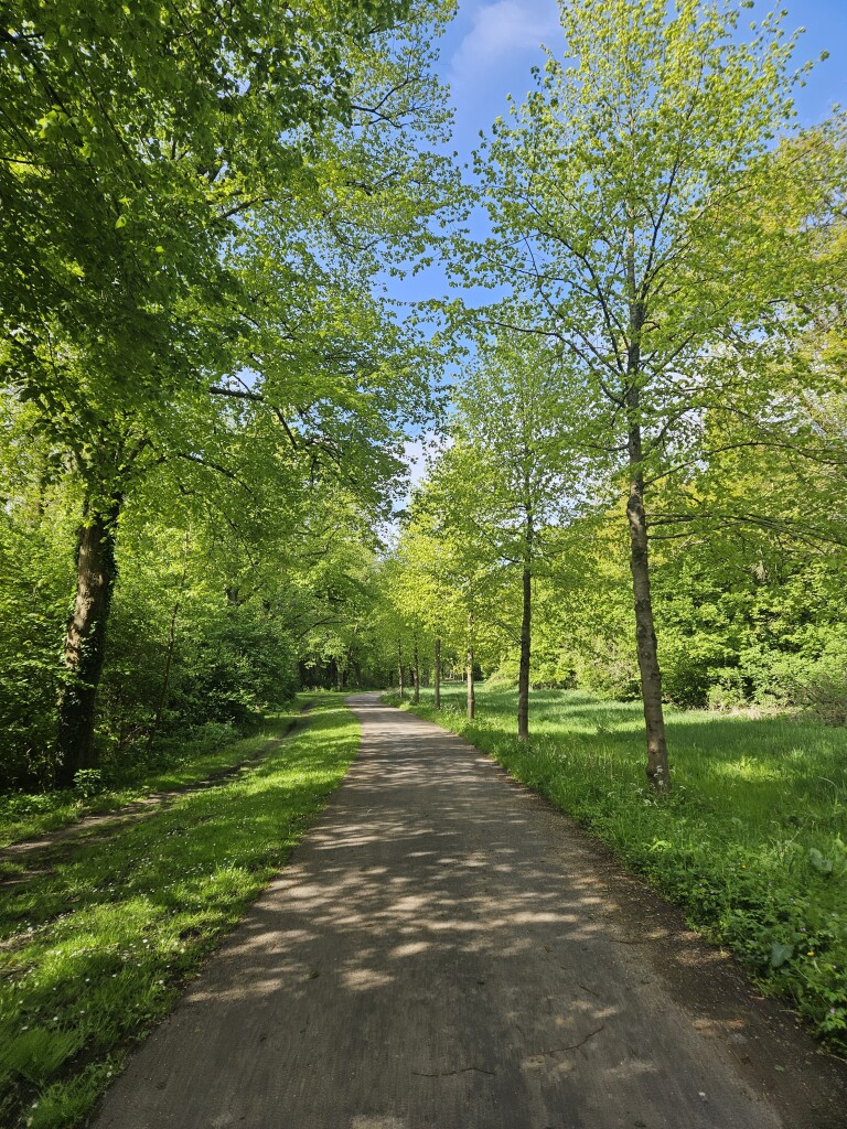 Oude Polderwandeling (blauw)