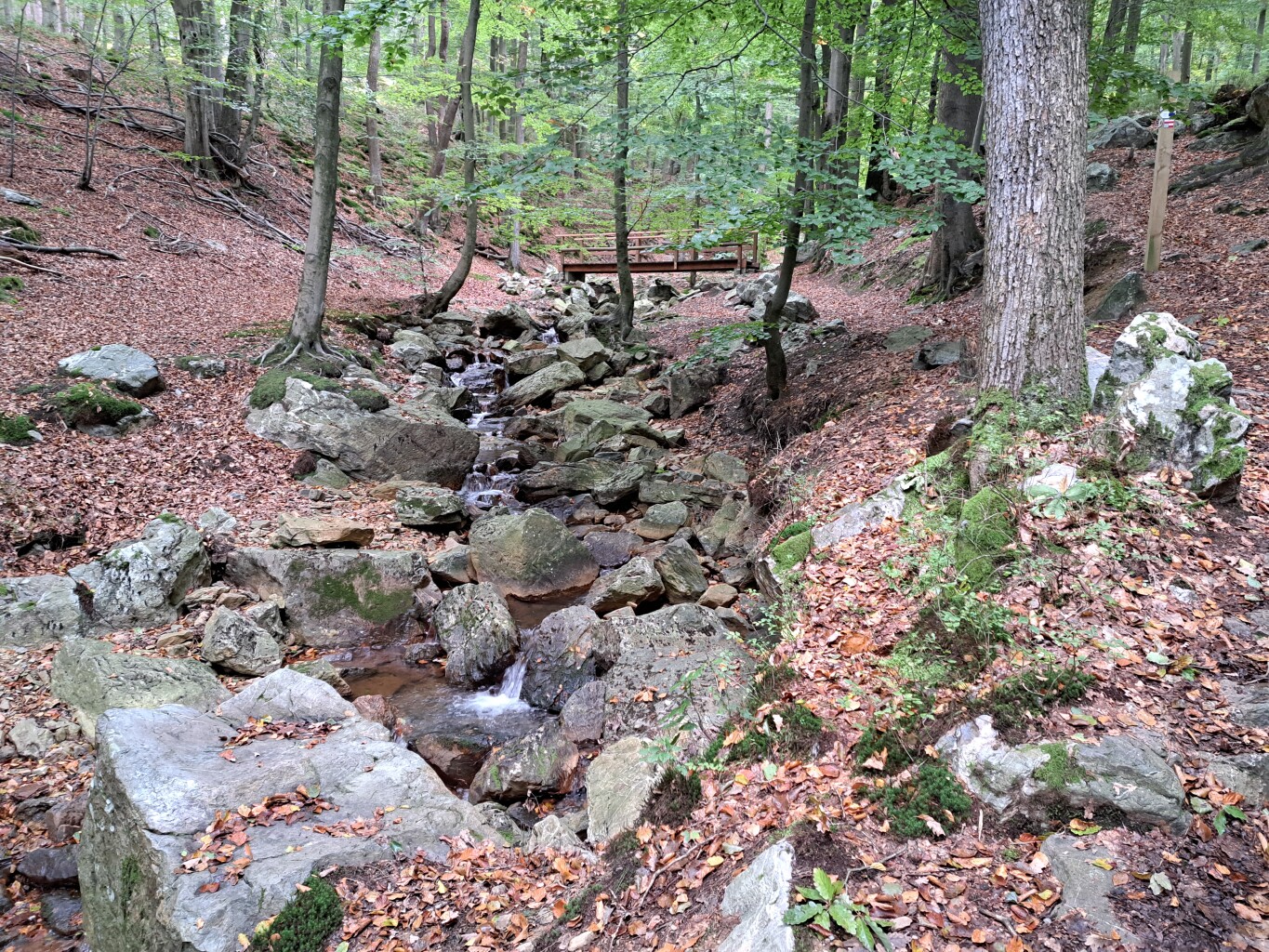 Spa - Stavelot · GR5 etappe 20