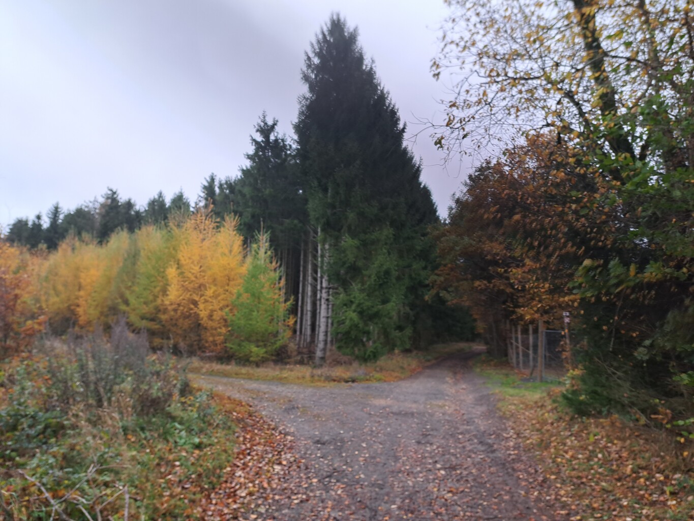 Stavelot - Vielsalm · GR5 etappe 21