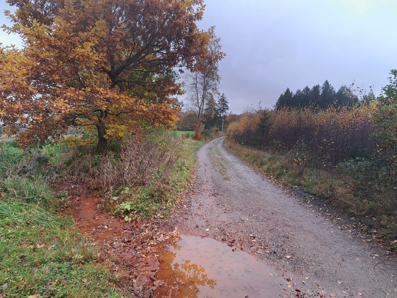 Stavelot - Vielsalm · GR5 etappe 21