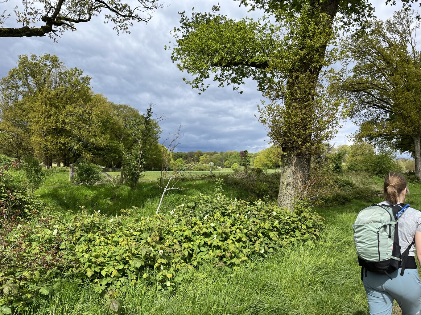 Vaassen - Hoog Soeren · Veluwe Zwerfpad etappe 12