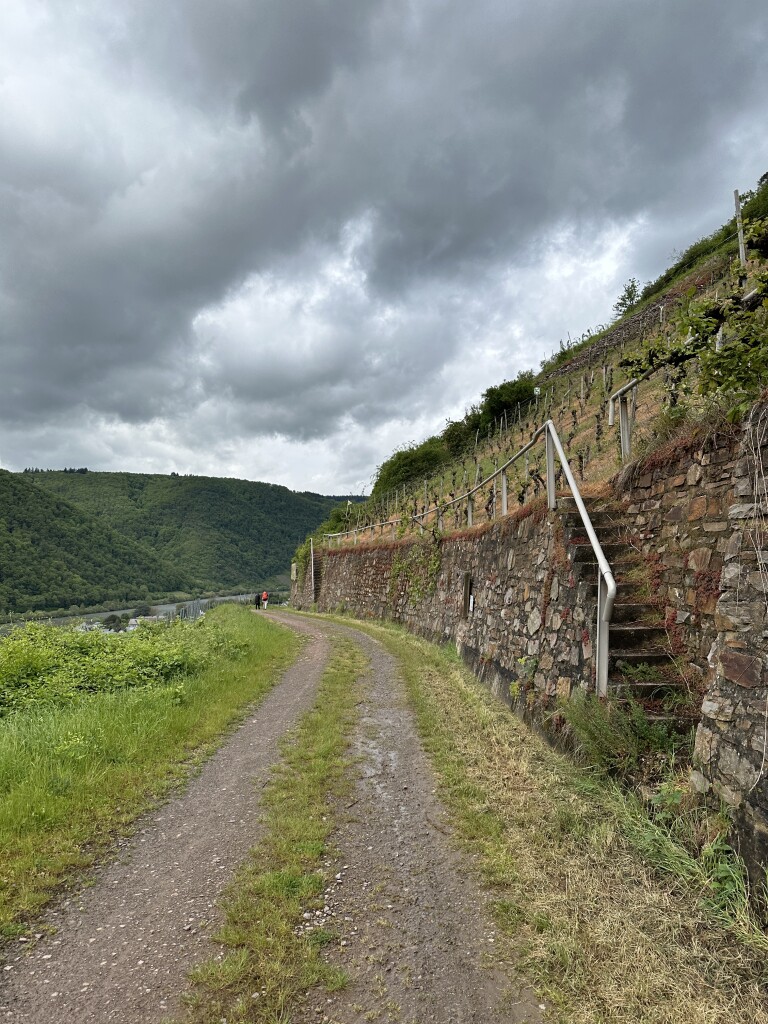 Ediger-Eller - Beilstein · Moselsteig etappe 17