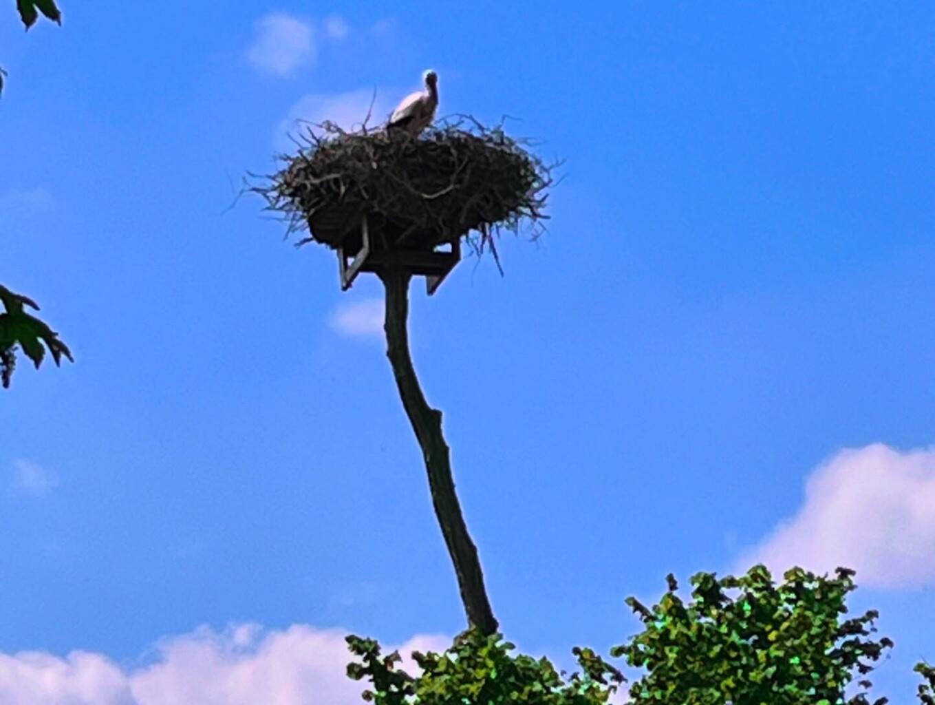 Vledder - Wapserveen - Havelte · Stellingenpad etappe 2
