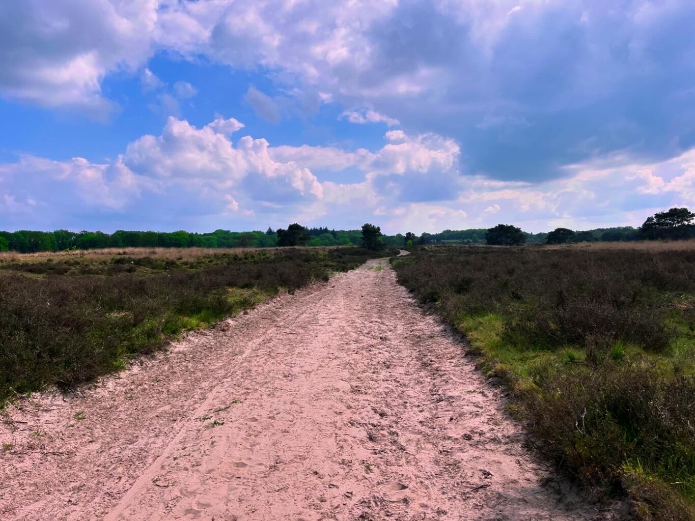 Vledder - Wapserveen - Havelte · Stellingenpad etappe 2