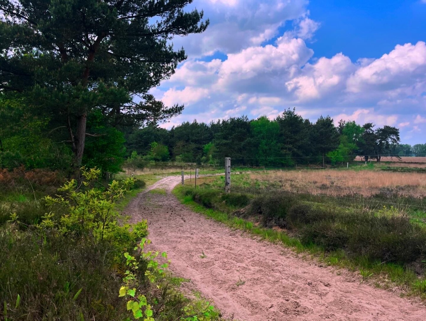 Vledder - Wapserveen - Havelte · Stellingenpad etappe 2