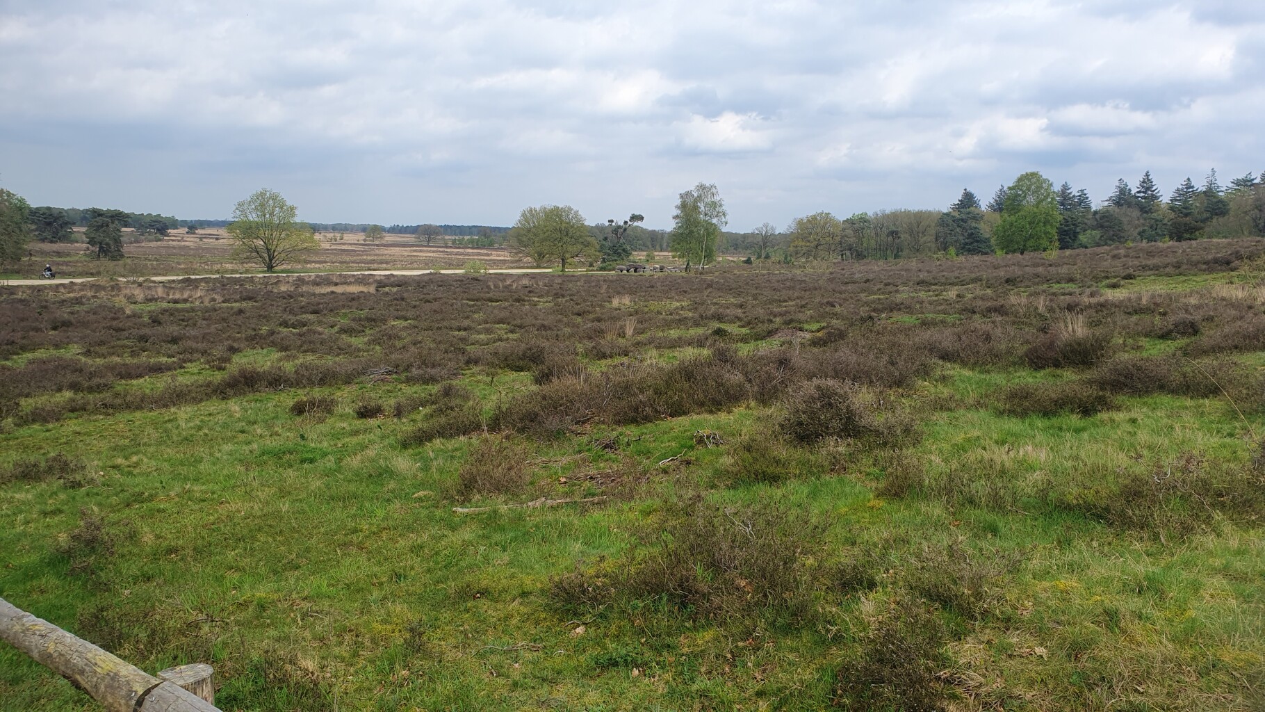 Appelscha - Wateren - Vledder · Stellingenpad etappe 1
